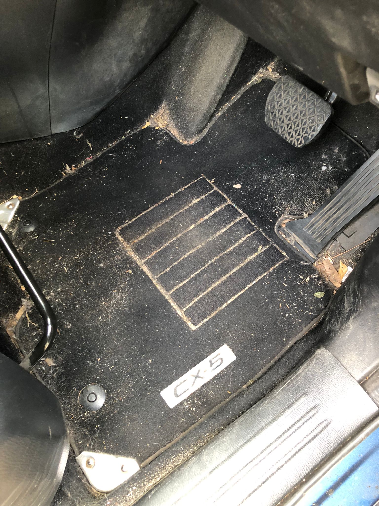 Car after detailing service by Noble Car Care